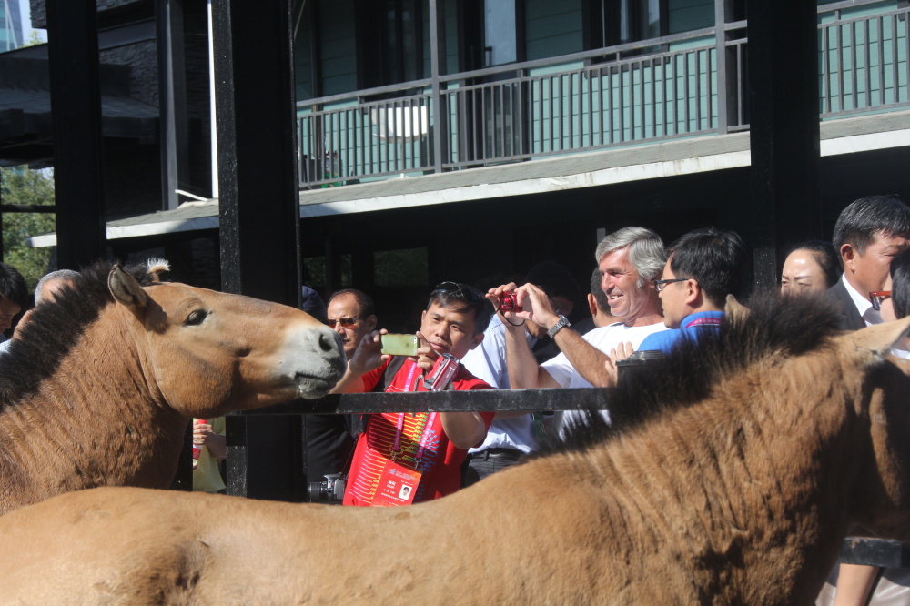 圖片關(guān)鍵詞 圖片關(guān)鍵詞