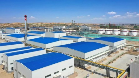 專精特新化工產業(yè)孵化基地項目 （B區(qū)）分析檢測區(qū)一、二標段 竣工驗收順利通過