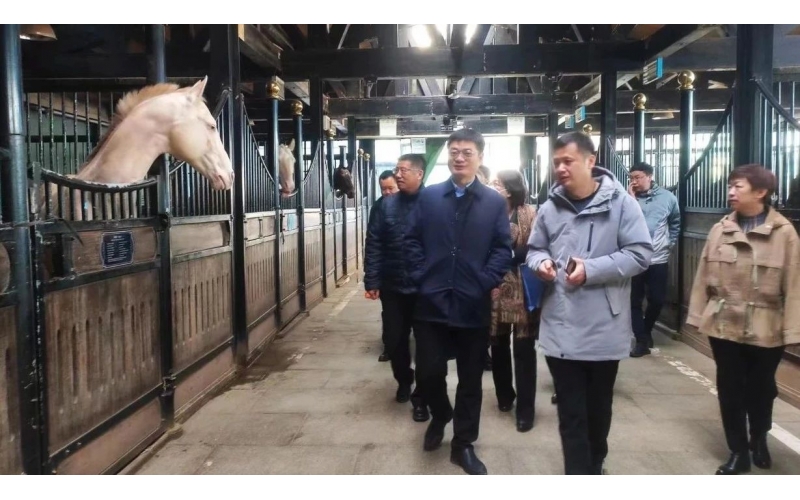 高雷副廳長在野馬集團(tuán)調(diào)研時(shí)表示，要通過科技助力，精準(zhǔn)解決“卡脖子”問題