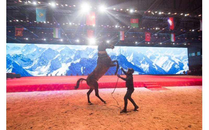 住馬酒店、吃馬肉腸、喝馬奶粉、品馬奶酒--