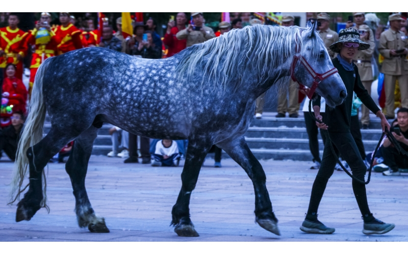 北屯市185團(tuán)巡游